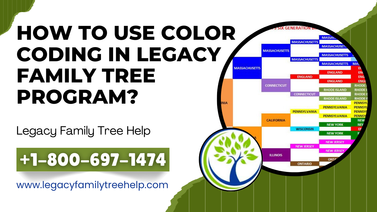 Color coding in legacy family tree